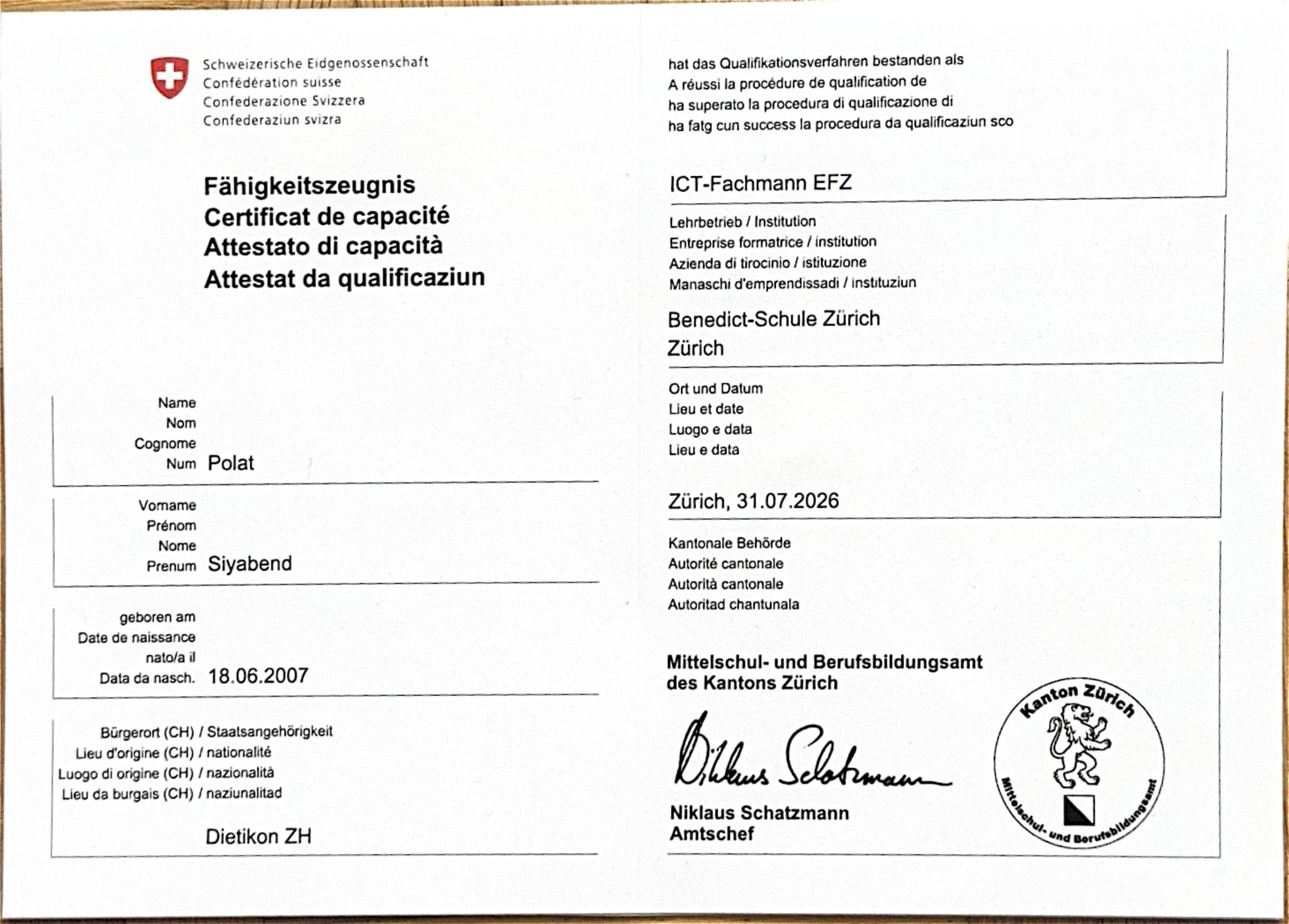 Fähigkeitszeugnis EFZ von Siyabend Polat